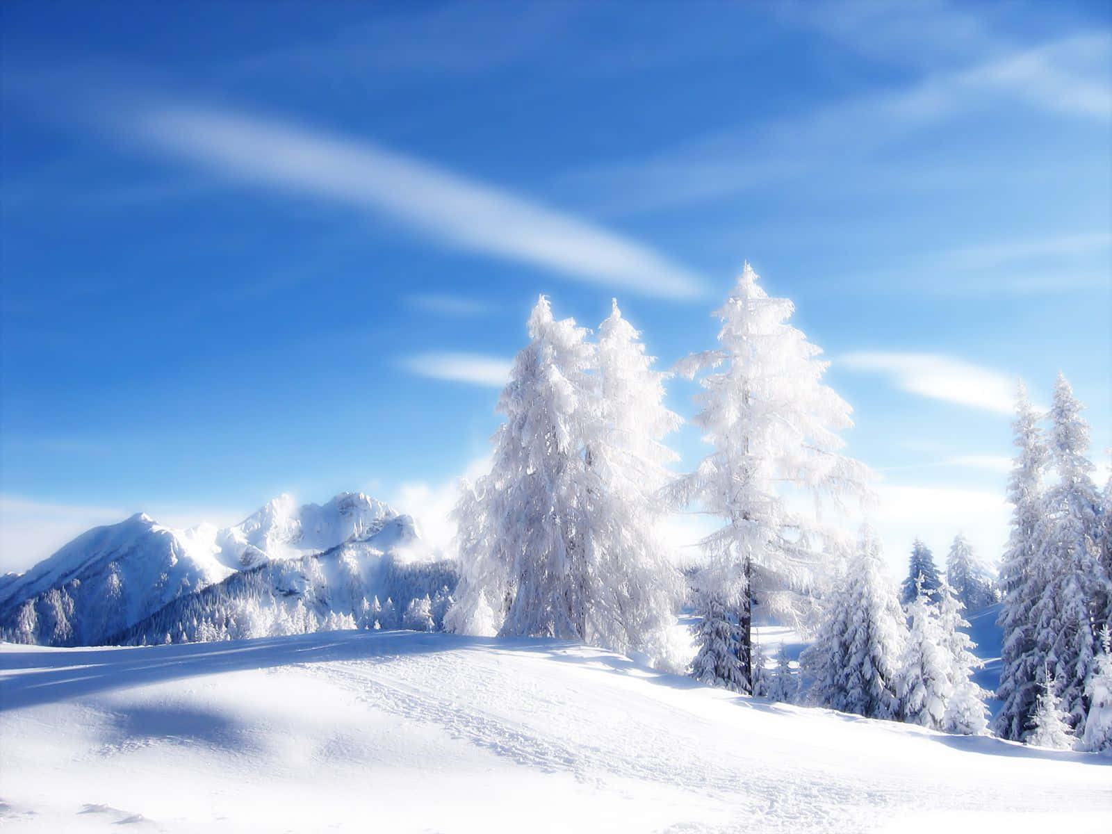 Captivating Snowy Landscape Wallpaper