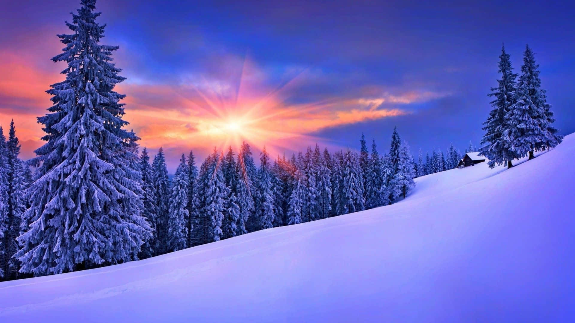 Majestic Snowy Landscape at Sunrise Wallpaper