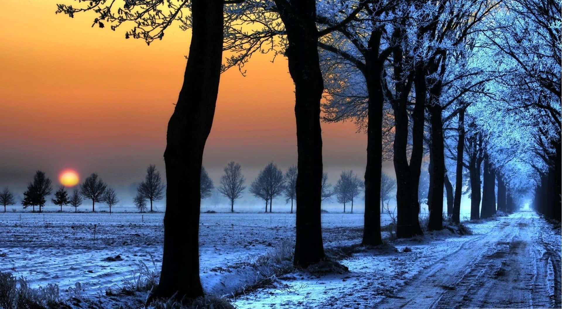 Tranquil Snowy Landscape Wallpaper