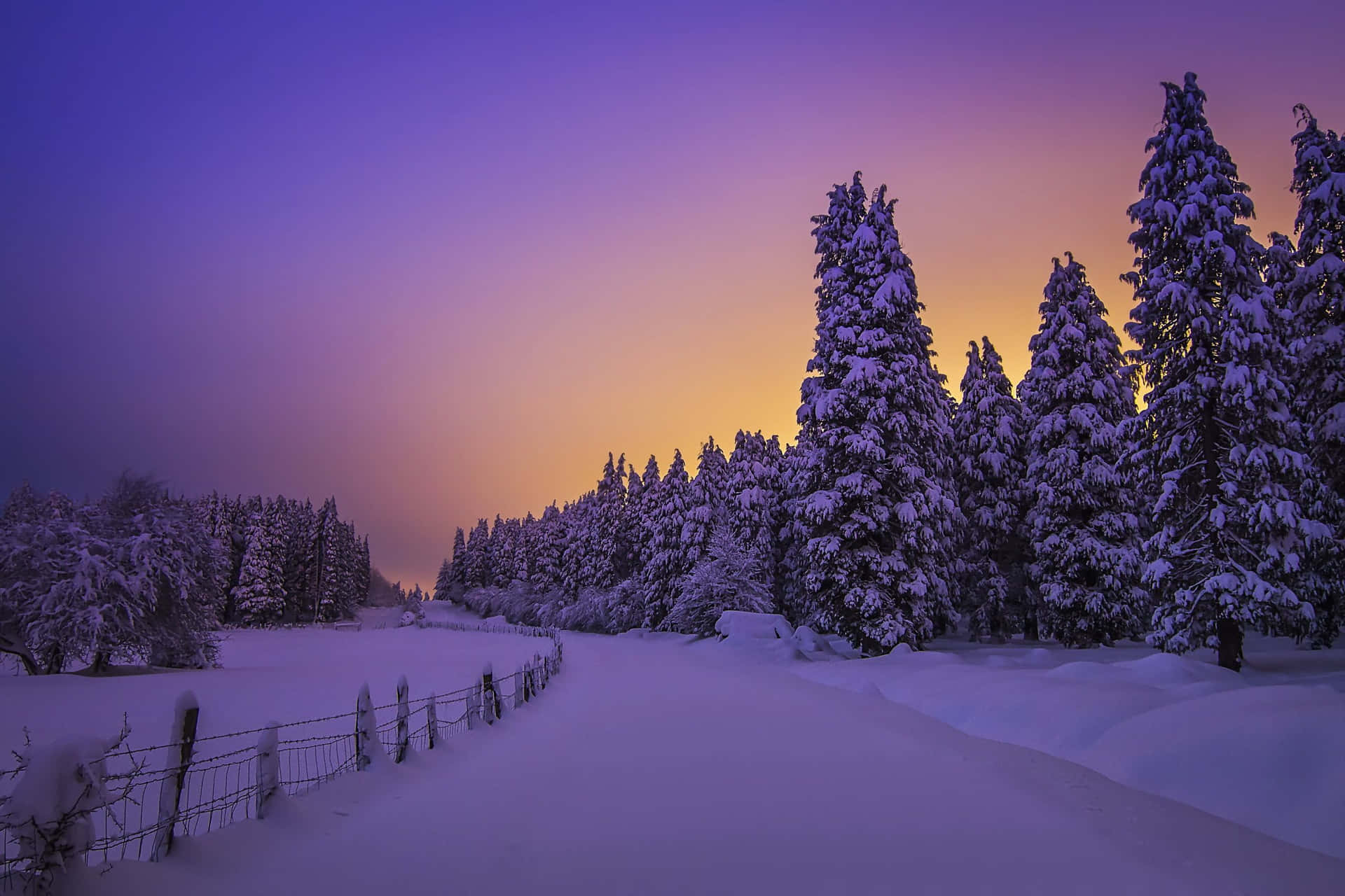 Majestic Snowy Landscape at Dawn Wallpaper