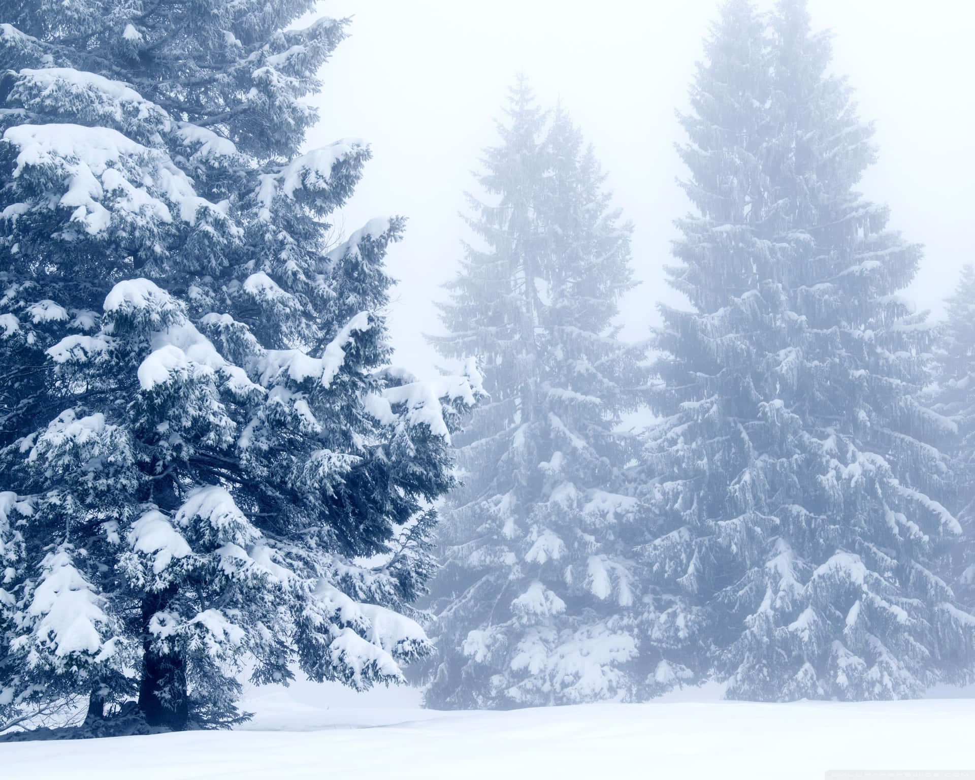 Snowy Landscape in Magical Winter Wonderland Wallpaper