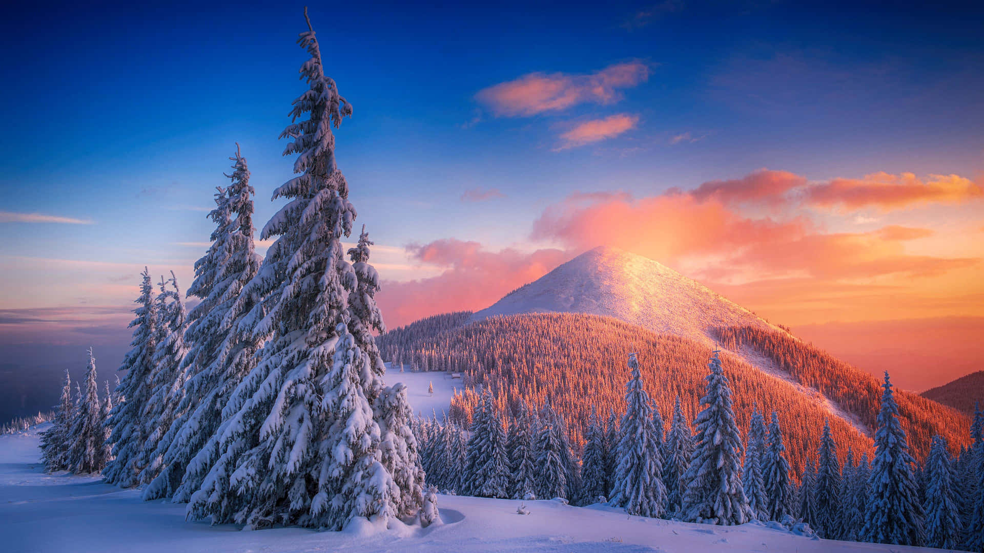 Majestic Snowy Landscape in Winter Season Wallpaper