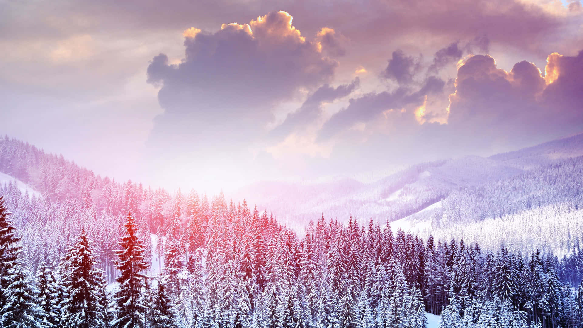 Tranquil Snowy Landscape during Winter Season Wallpaper
