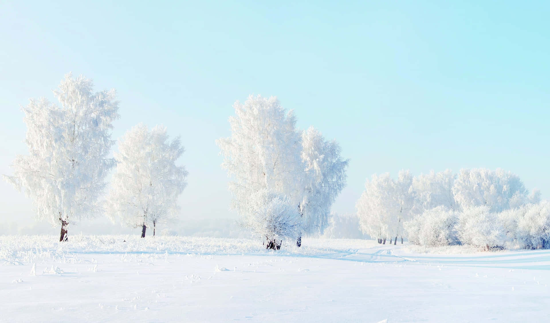 Majestic Snowy Landscape Wallpaper