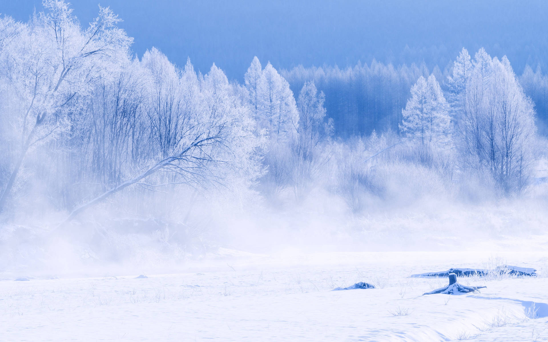 Snowy Landscape Hotmail Wallpaper