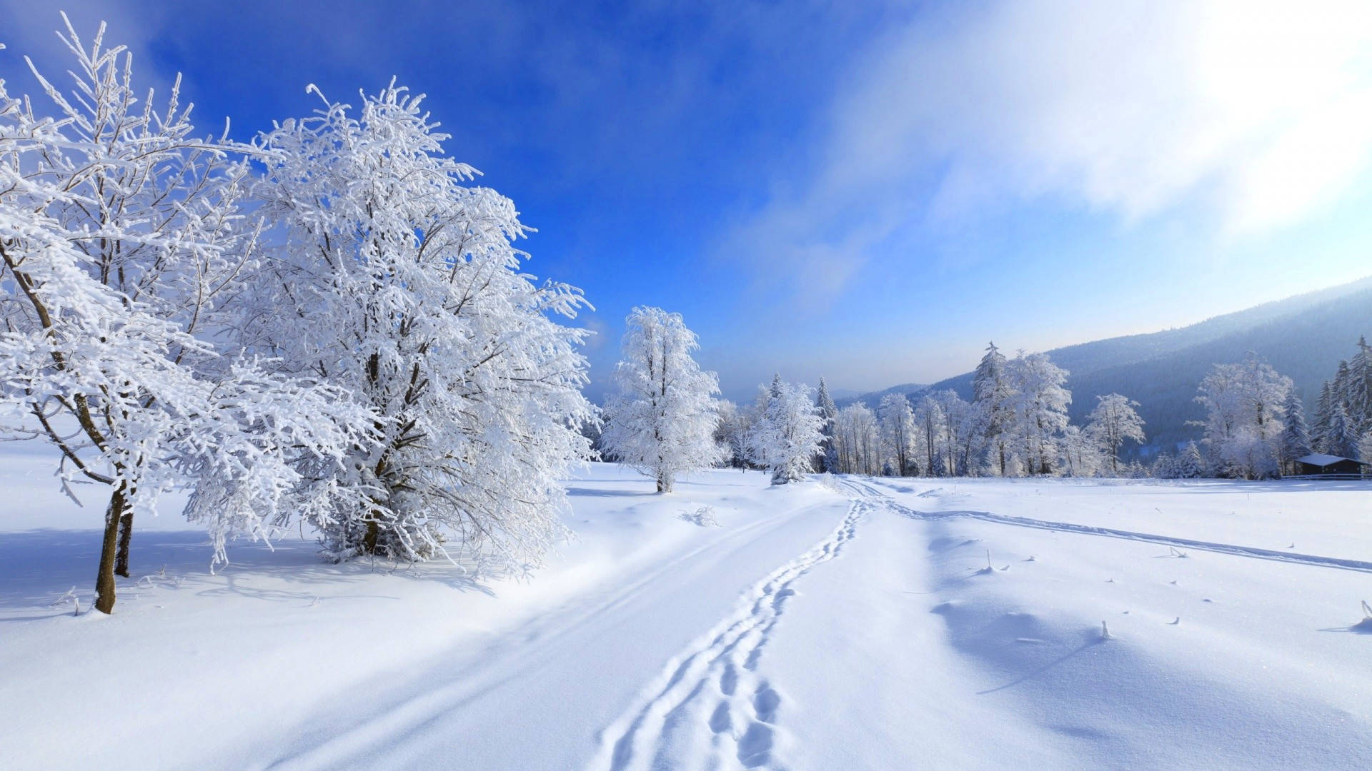 Snowy Landskab Vinter Desktop Wallpaper