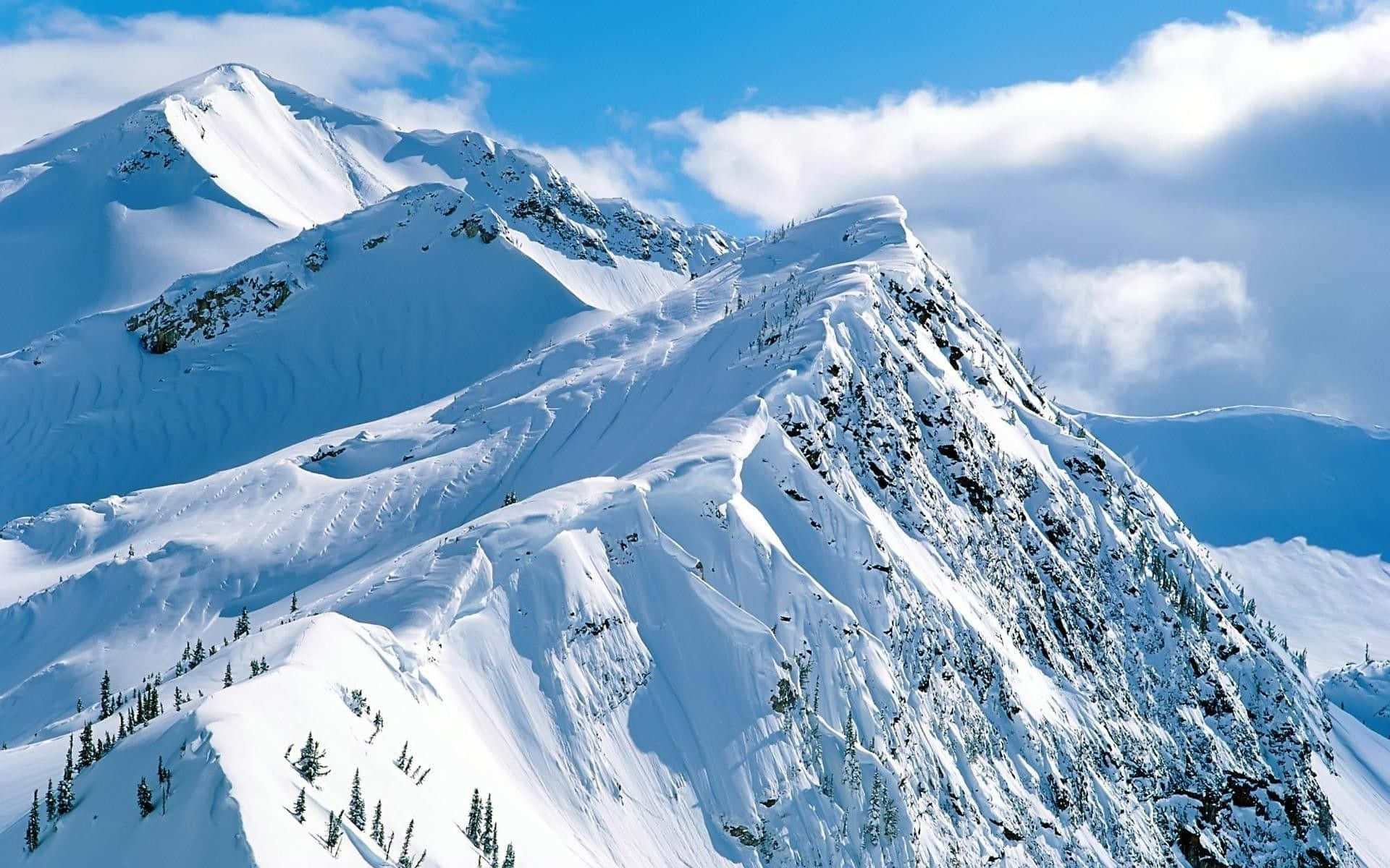 Witness nature's beauty on the Snowy Mountain!