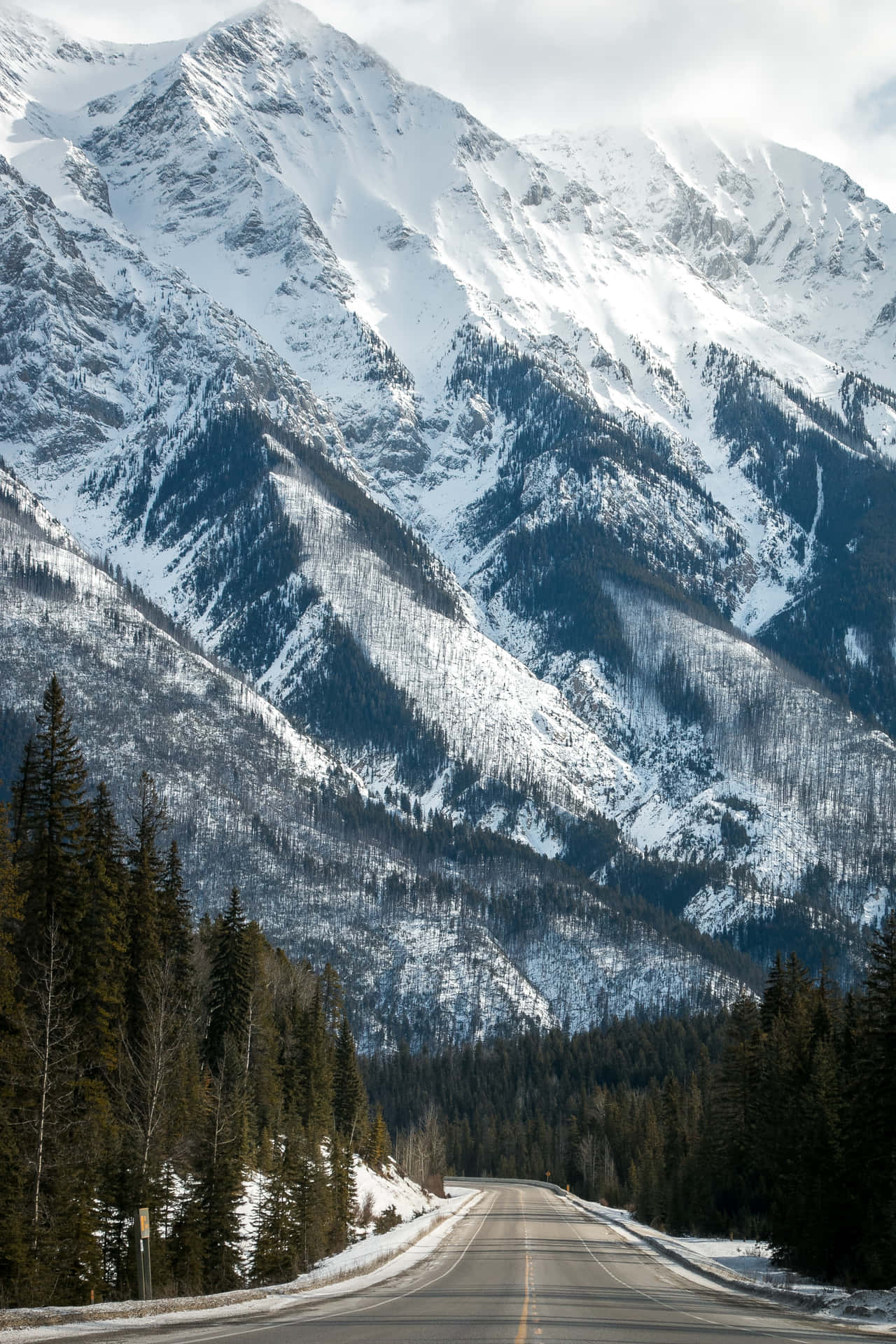 Capture the Magnificence of the Snowy Mountains