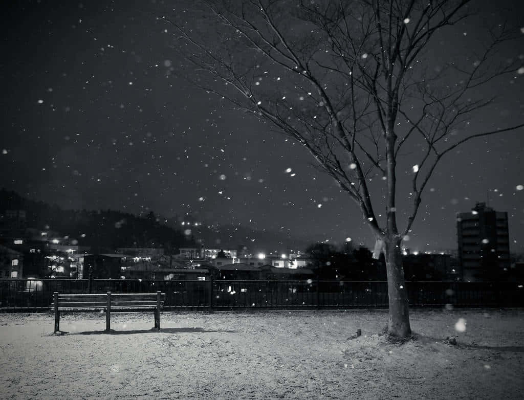 Snowy_ Night_ Park_ Scene Wallpaper