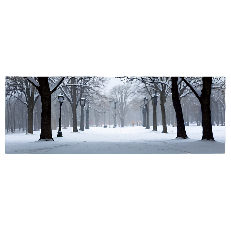 Snowy Park Transparent Png Pog39 PNG