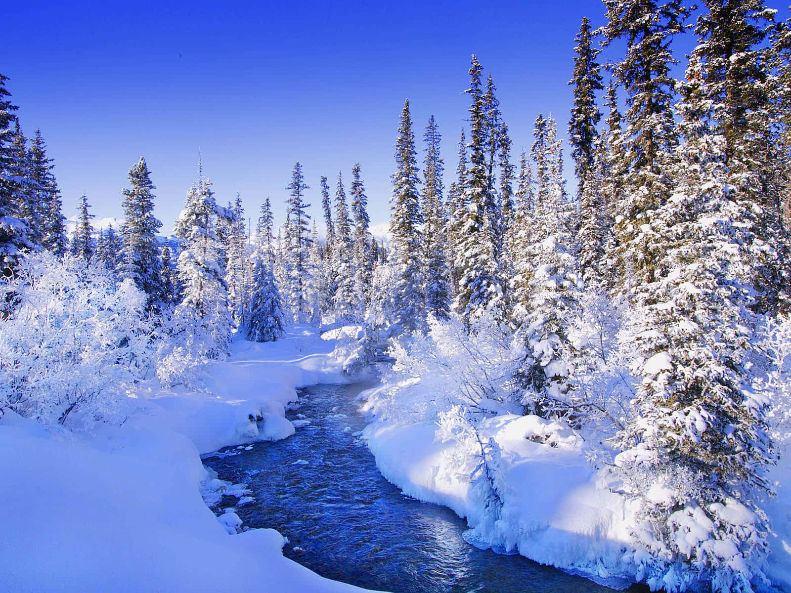 A Snow Covered Stream In The Forest