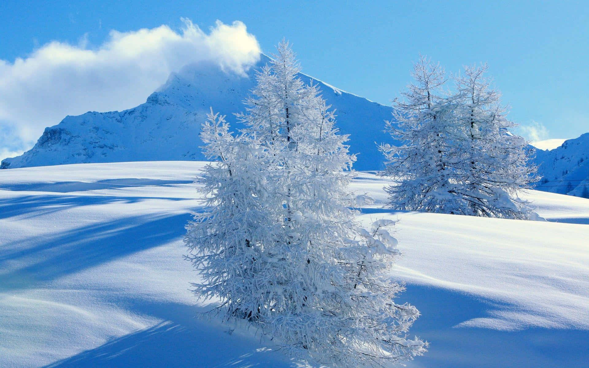 Unavista Magnífica De Montañas Cubiertas De Nieve
