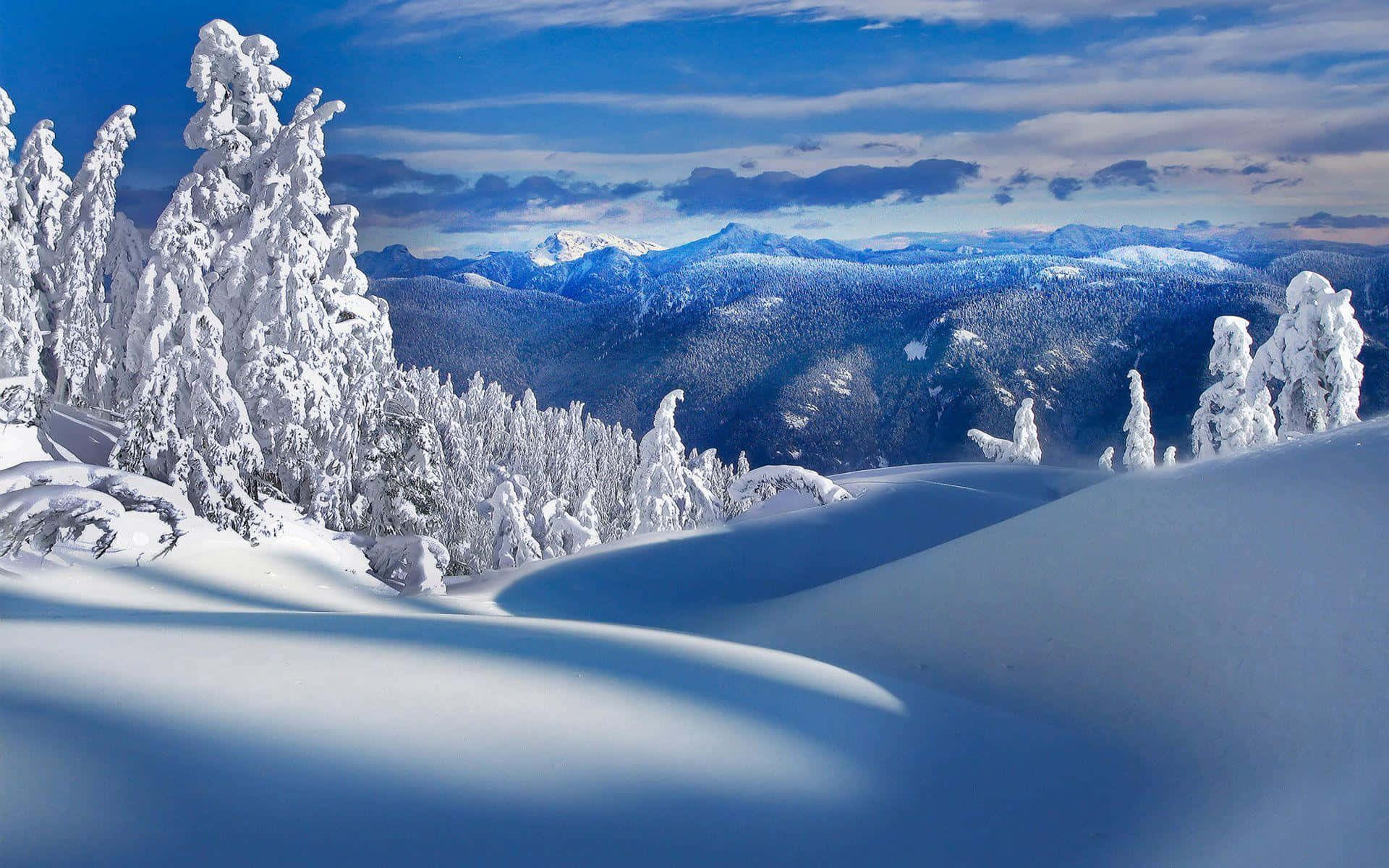 Exploring the beauty of winter in the picturesque Snowy Mountains
