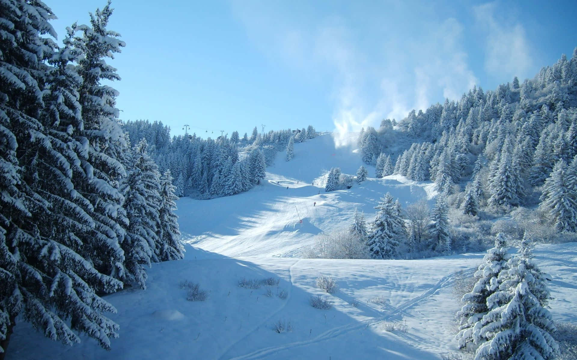 Enjoy the View of Snowy Winter Wonderland
