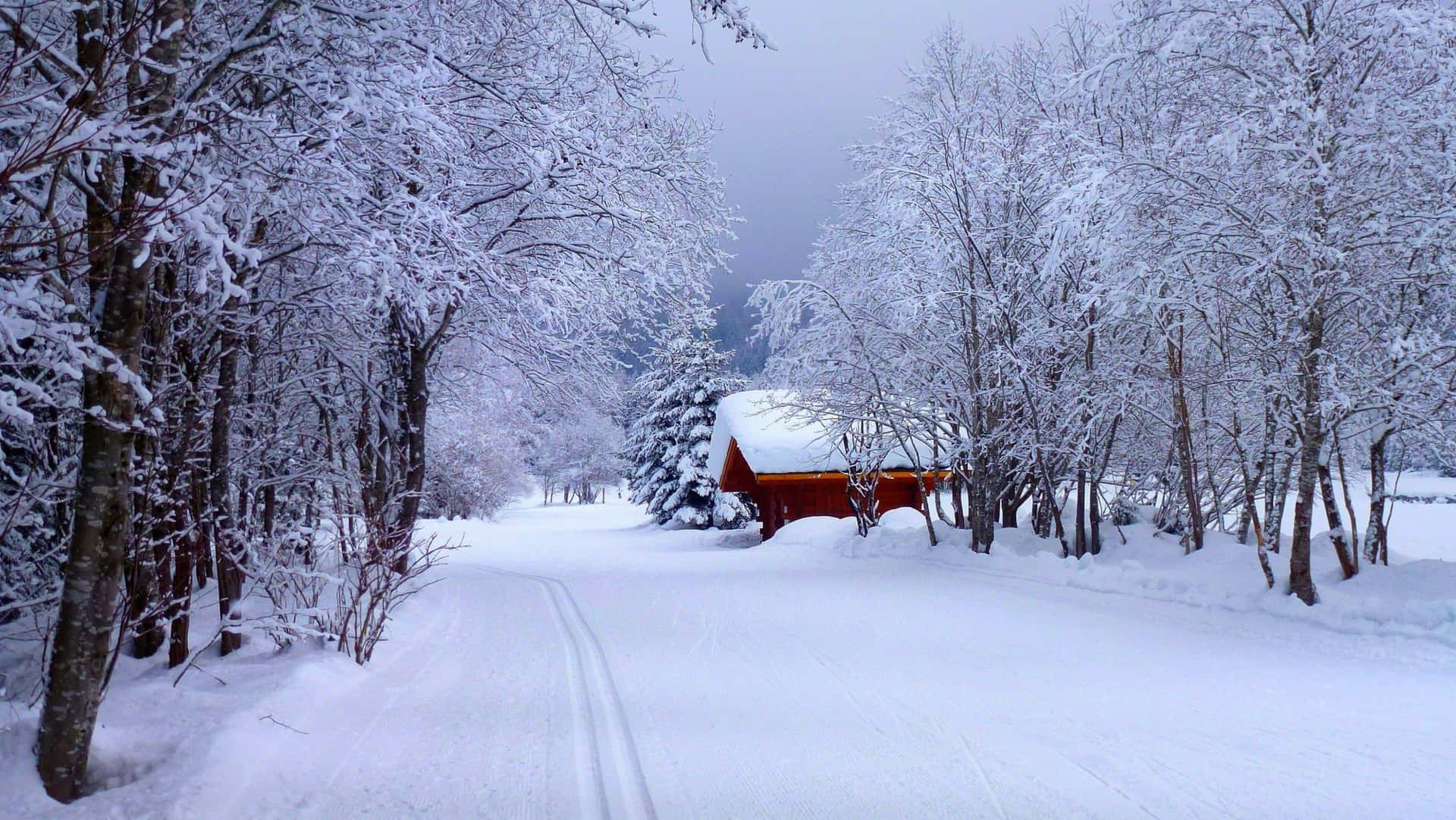 Take in the beauty of a majestic, Winter Wonderland
