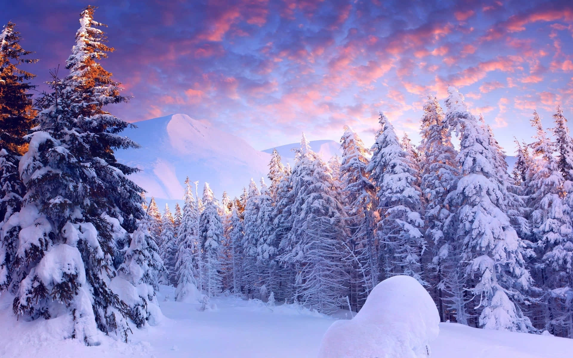 Disfrutandode La Tranquila Serenidad De Un Maravilloso Paisaje Invernal Nevado.