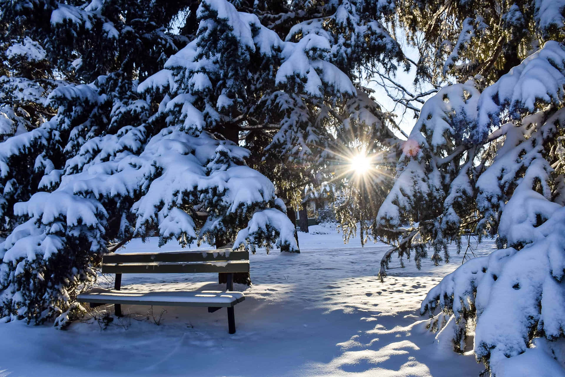 "Breathing in the beauty of the crisp winter air in a snowy landscape."