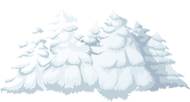 Snowy Pine Trees Vector Illustration PNG