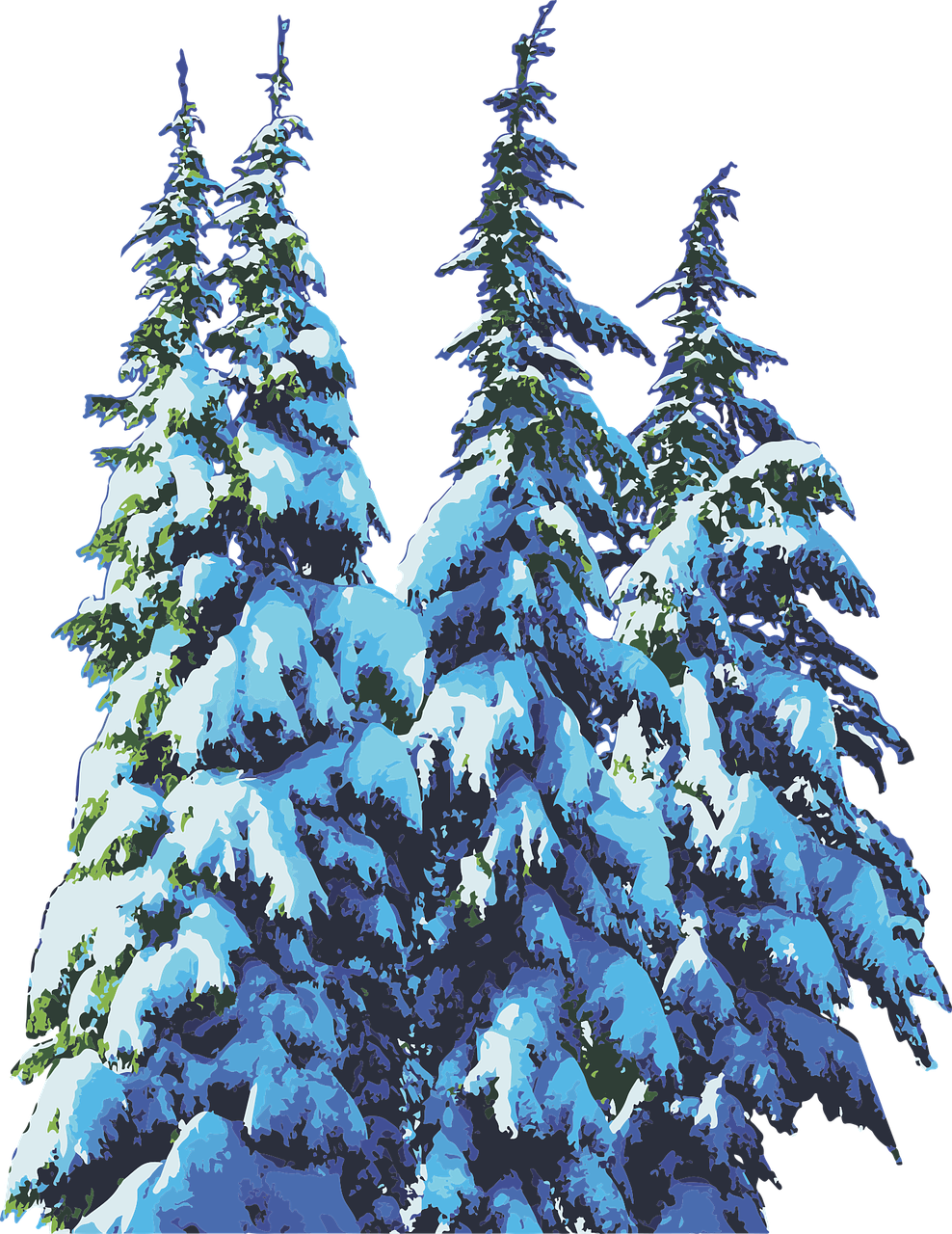 Snowy Pine Trees Winter Scene PNG