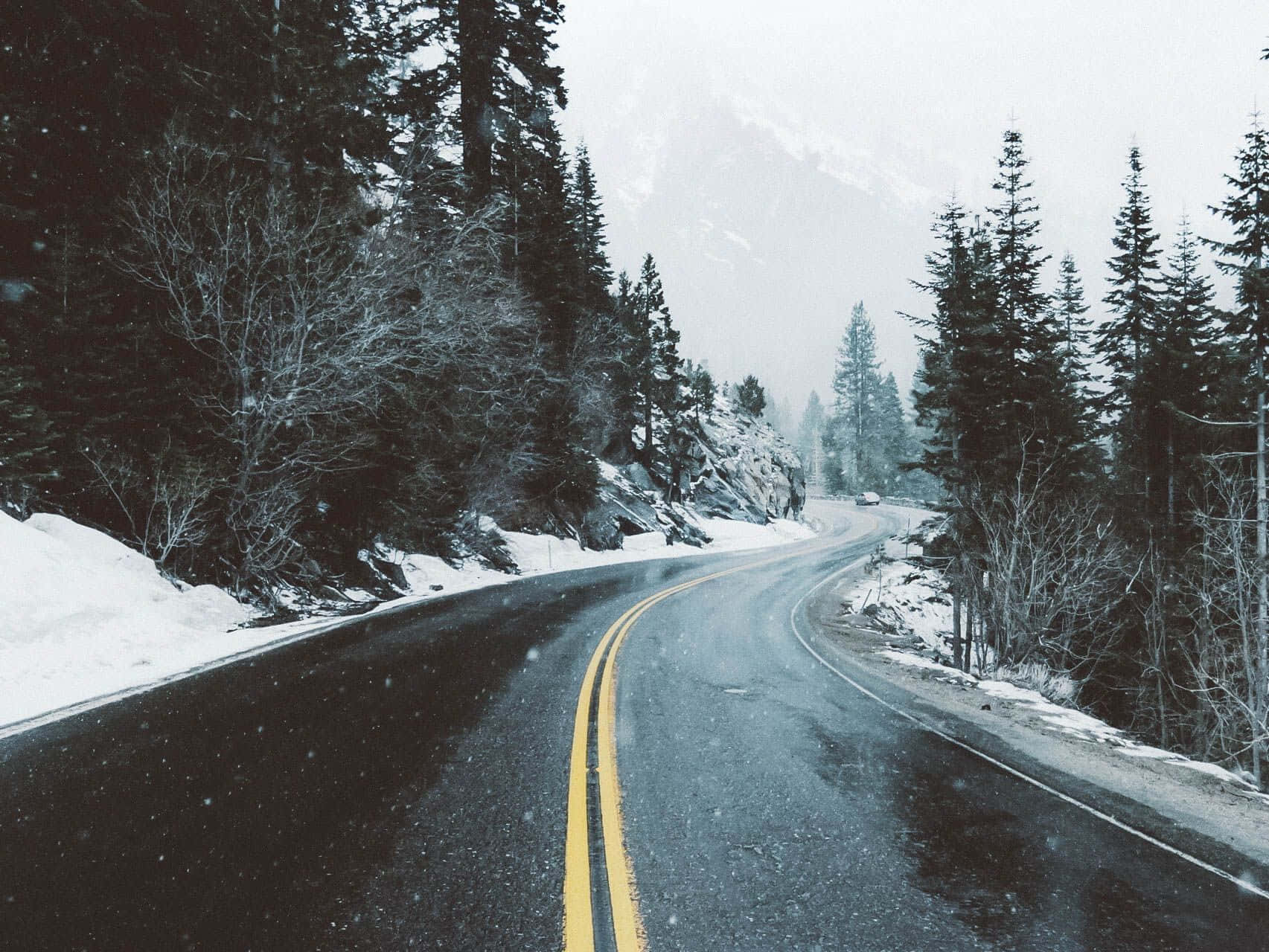 Caption: A serene Snowy Road amidst snow-covered trees Wallpaper