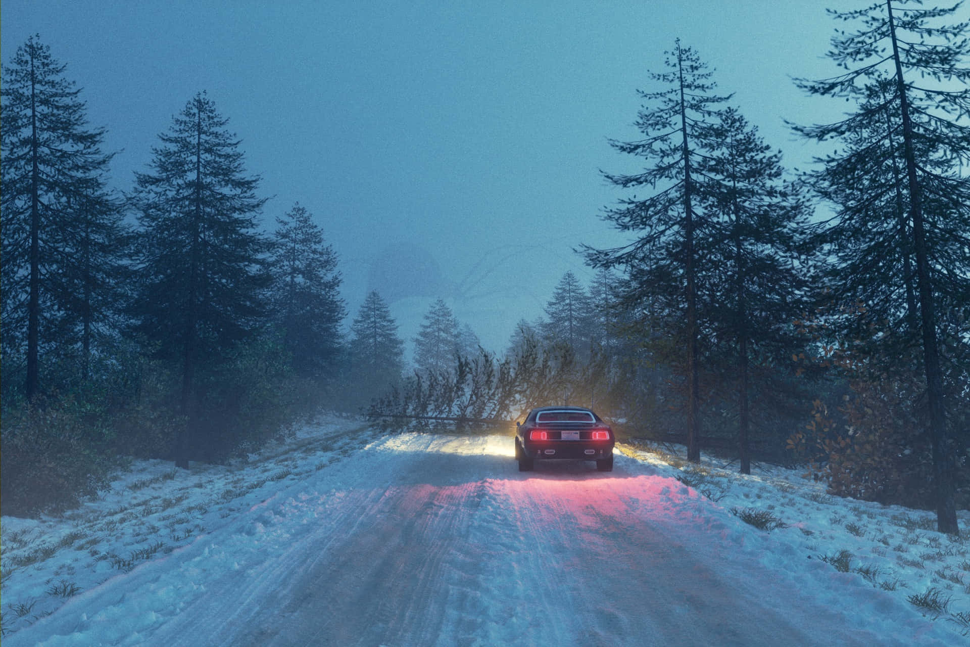 Caminocubierto De Nieve En Medio De Un Paisaje Forestal Invernal Fondo de pantalla