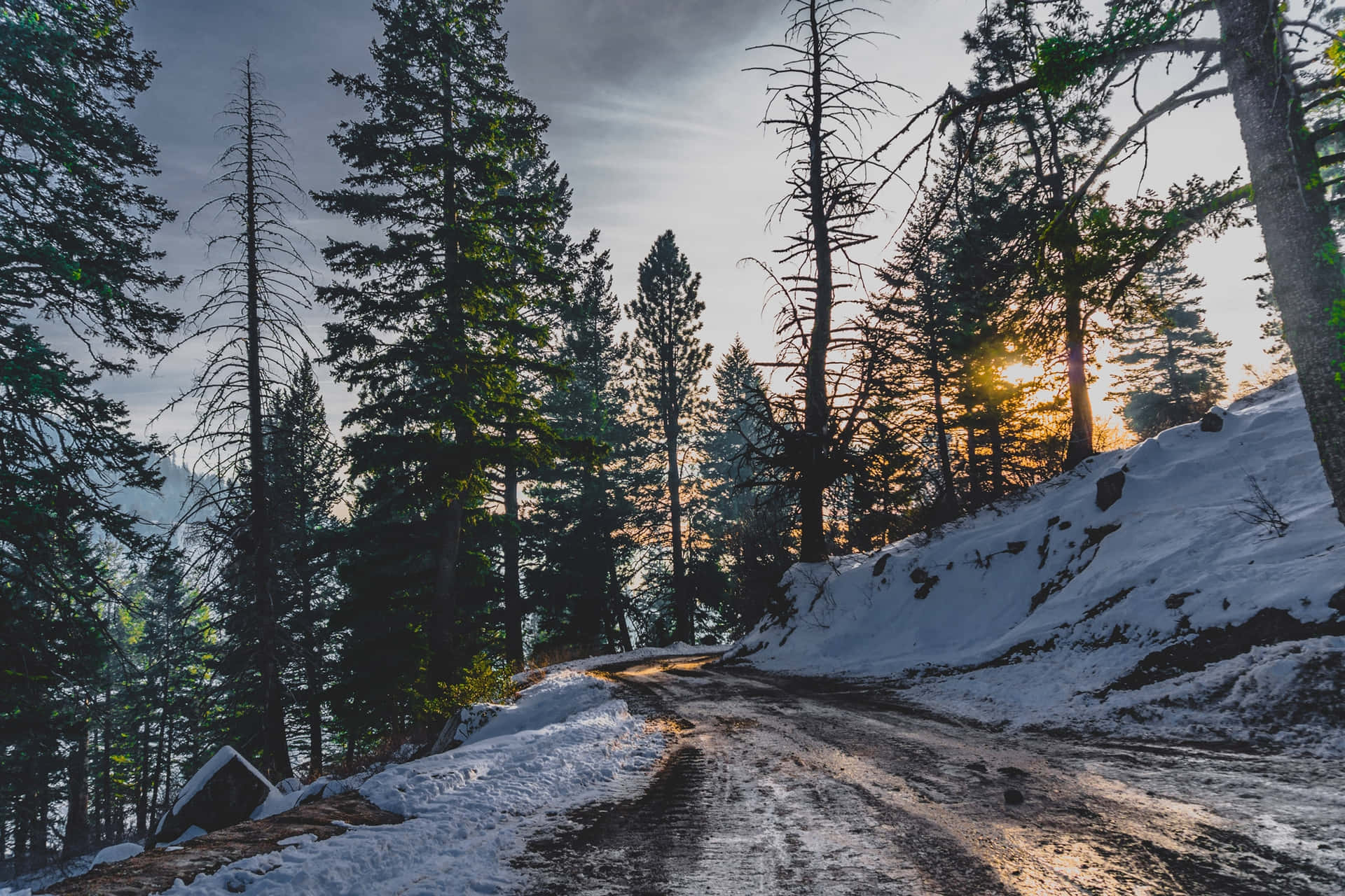 Snowy Road amidst Beautiful Winter Scenery Wallpaper