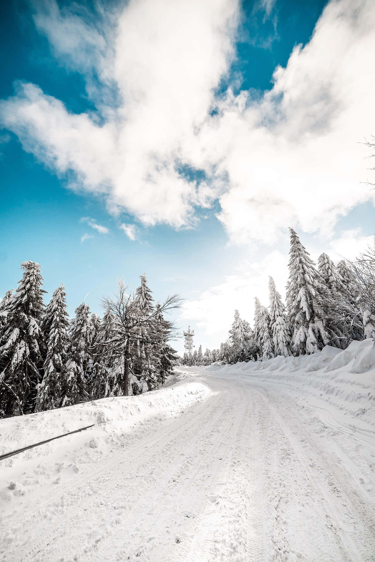 Snowy Road through a Winter Wonderland Wallpaper