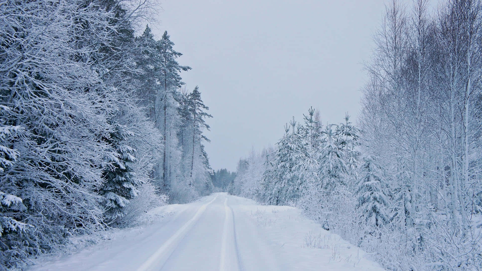 Scenic Winter Drive on a Snowy Road Wallpaper