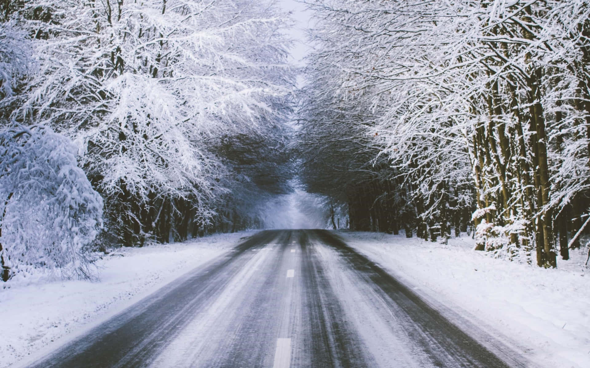 Snowy Road - A Winter's Wonderland Wallpaper