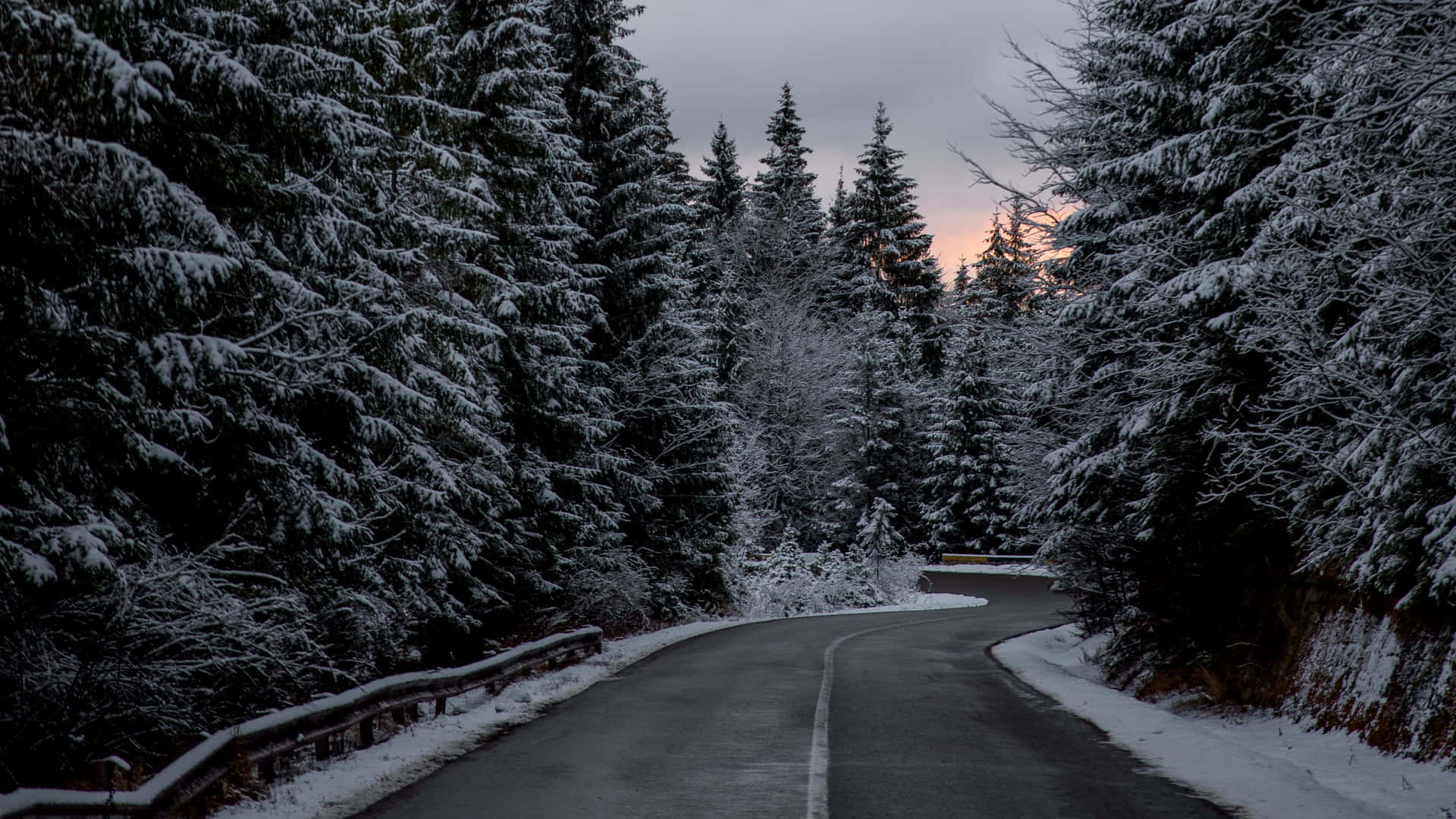 Serene Snowy Road Guided by Tree Lined Path Wallpaper