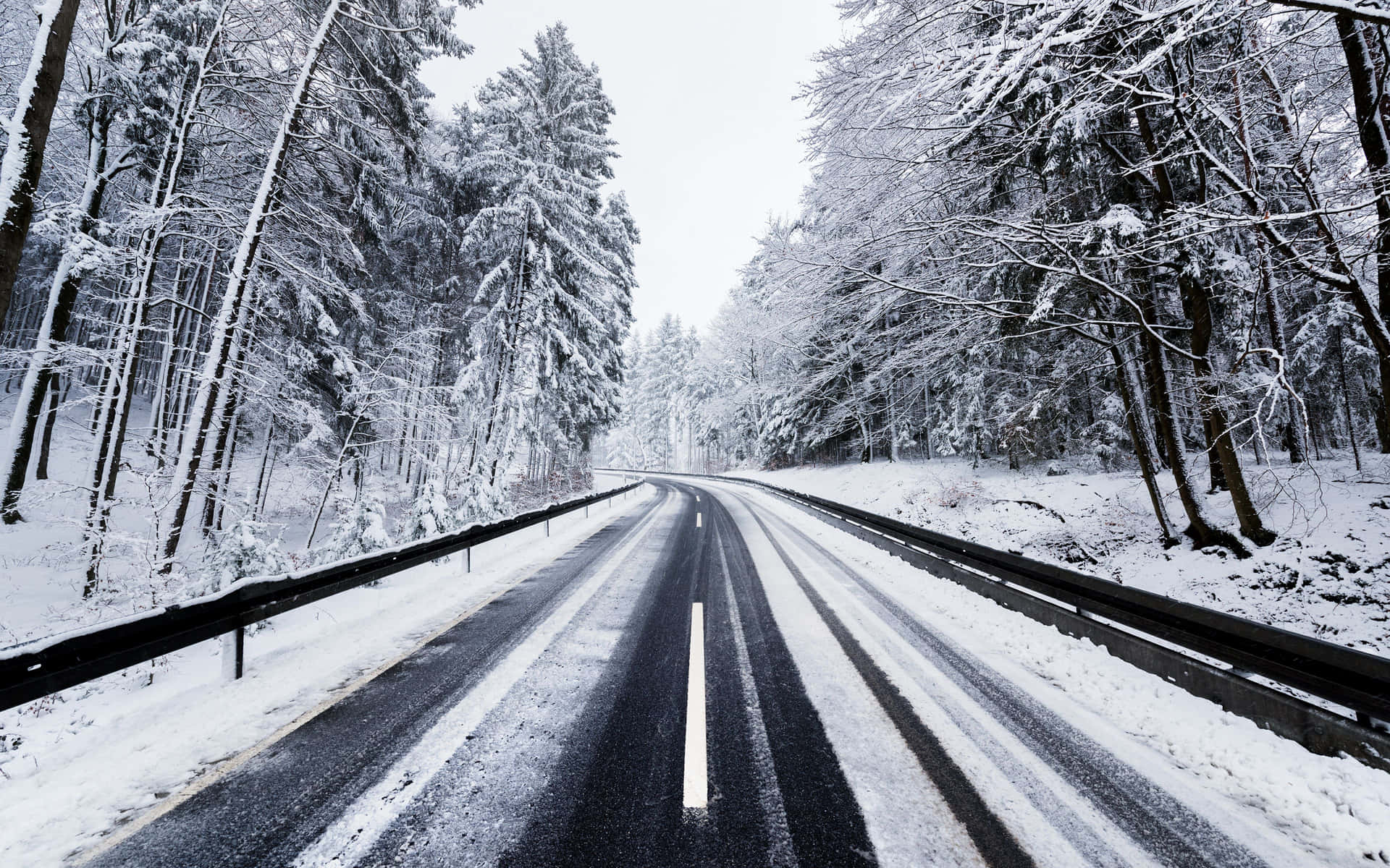 Tranquil Snowy Road Through a Winter Wonderland Wallpaper