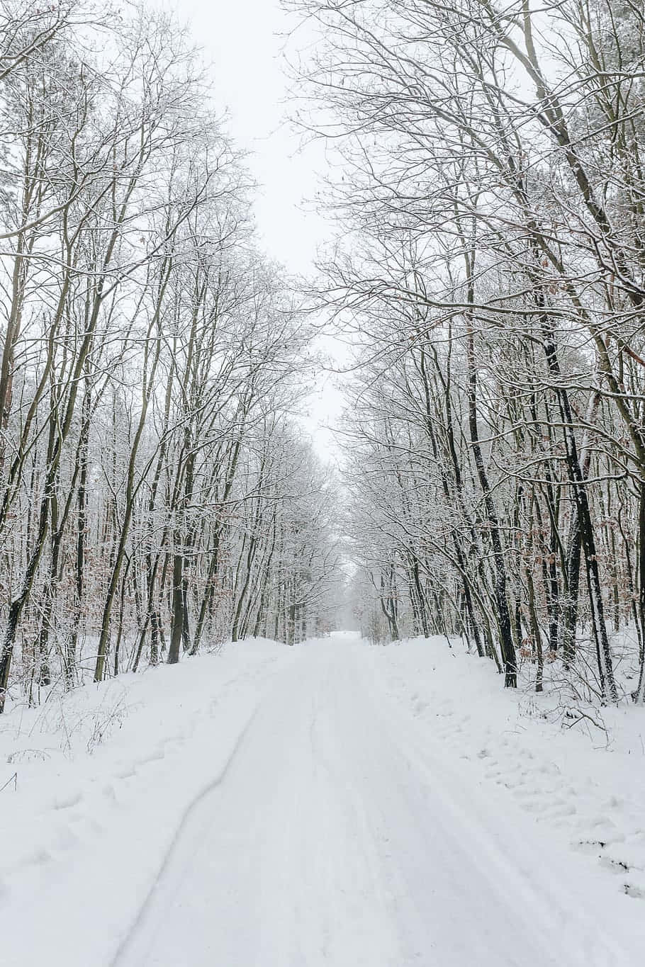 Snowy Road through a Scenic Winter Wonderland Wallpaper