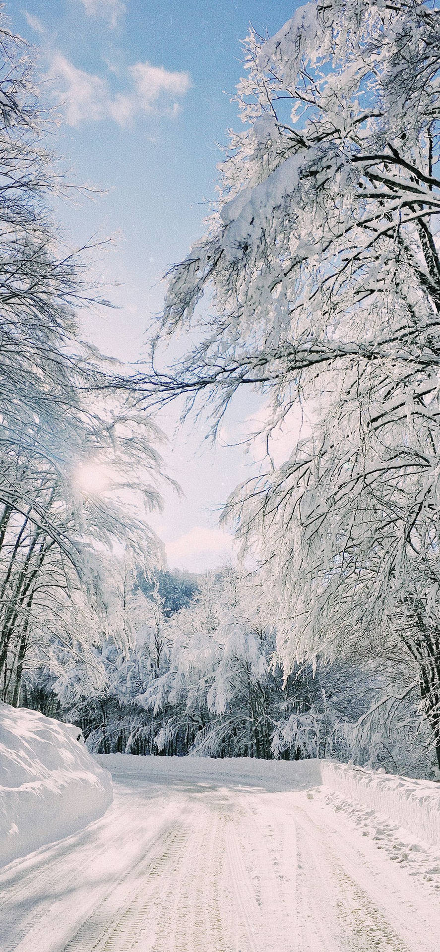 Snowy Road Winter iPhone Wallpaper