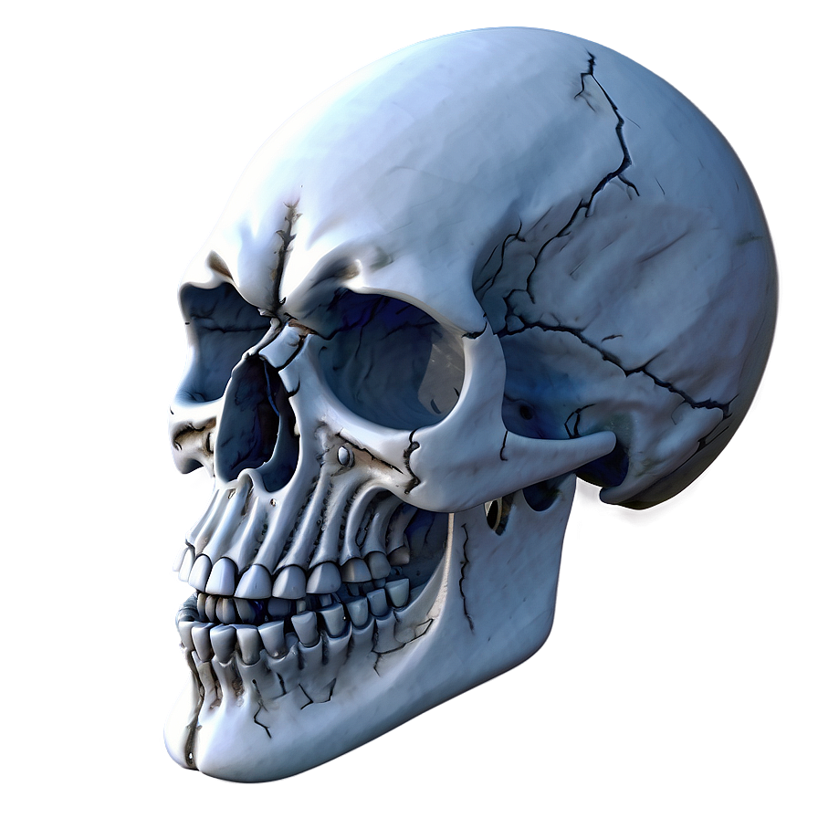 Snowy Skull Decoration Png D PNG