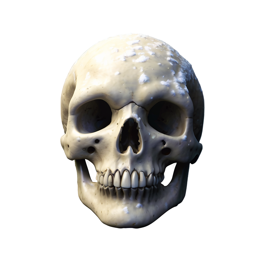 Snowy Skull Face Picture Png 81 PNG