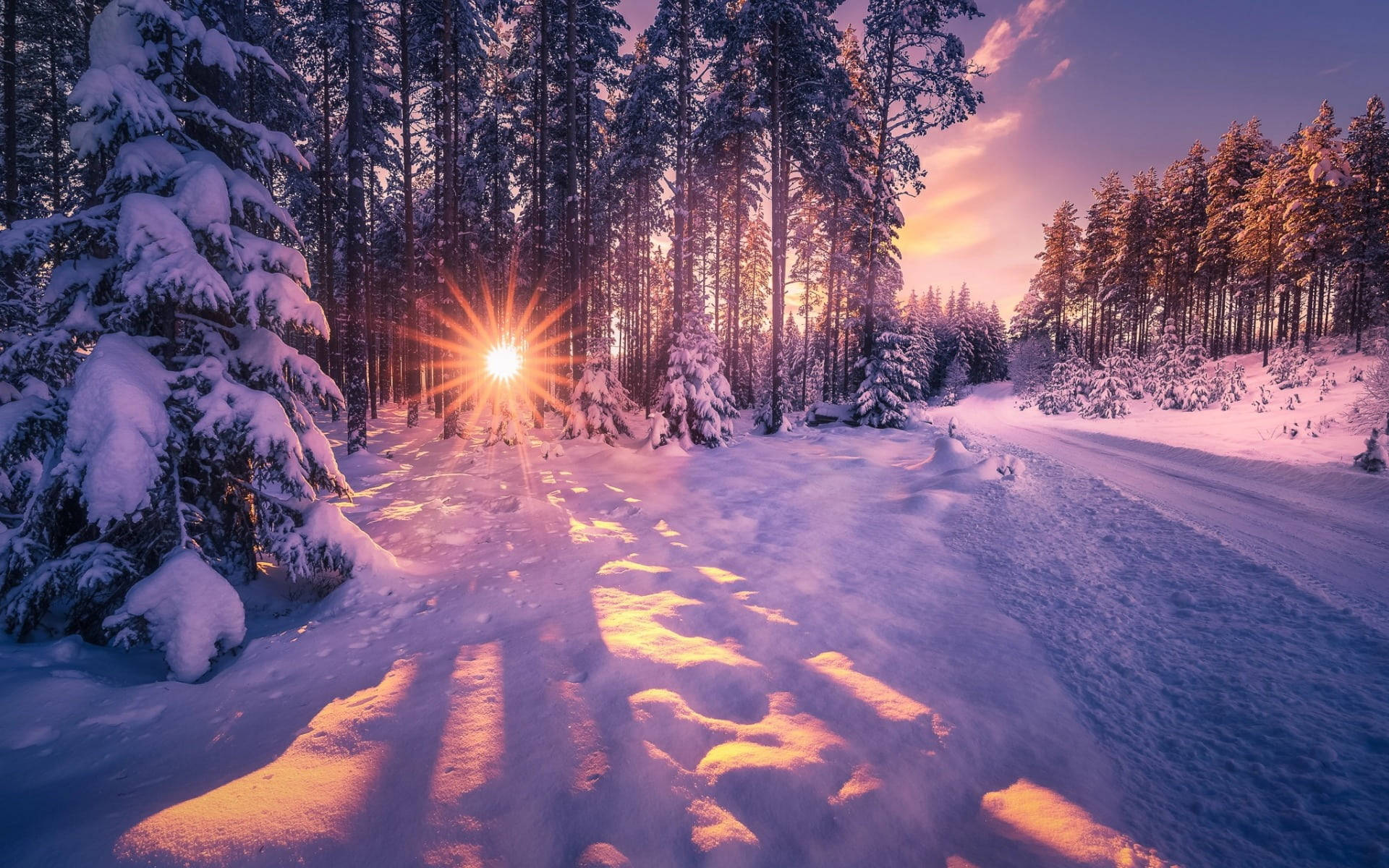 Snowy Sunset Landscapes Wallpaper