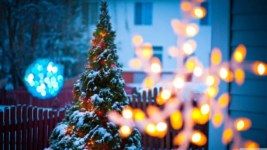 Snøet træ højopløsning jul Desktop Wallpaper