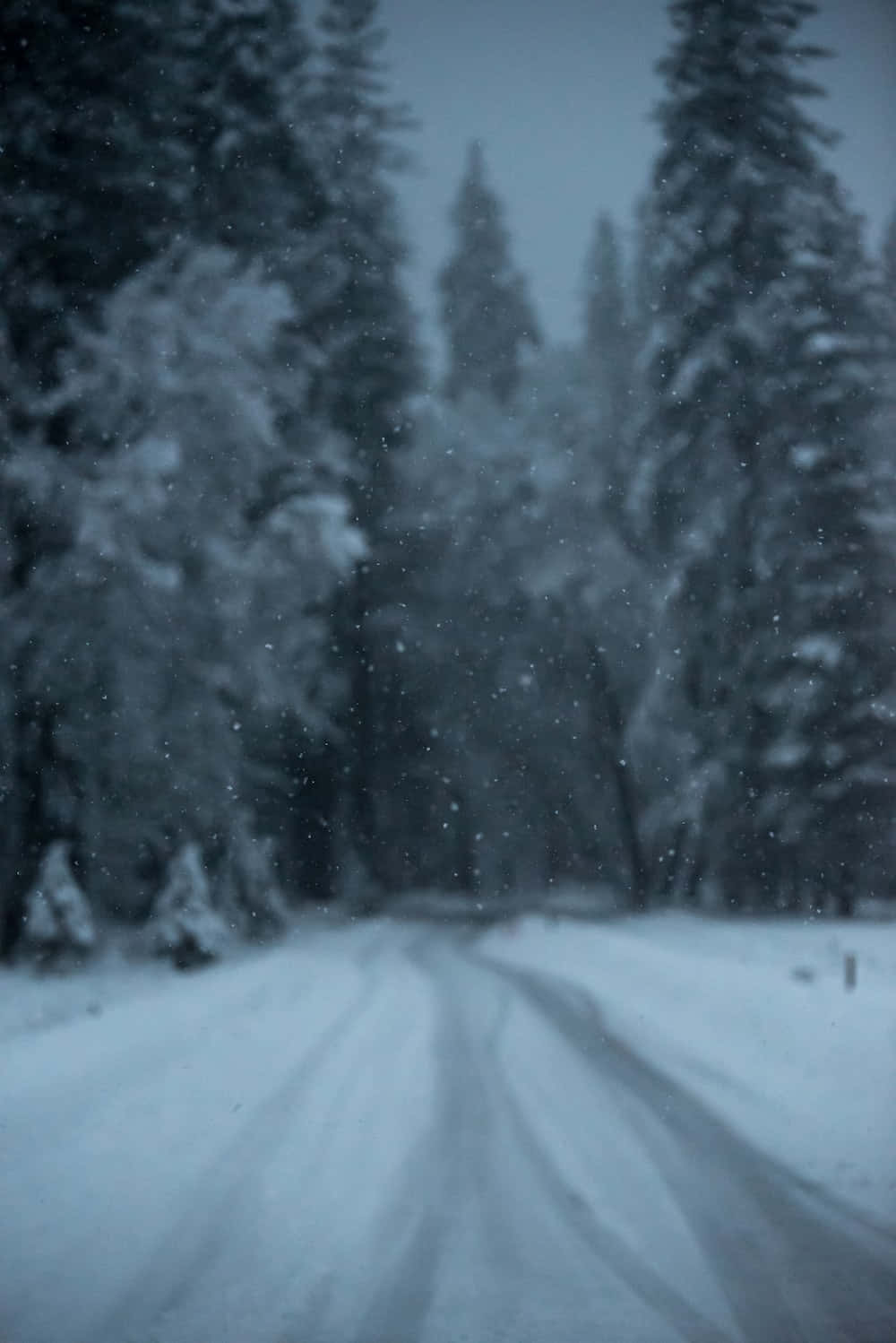 Sneeuwachtige Winterweg Omgeven Door Bomen.jpg Achtergrond