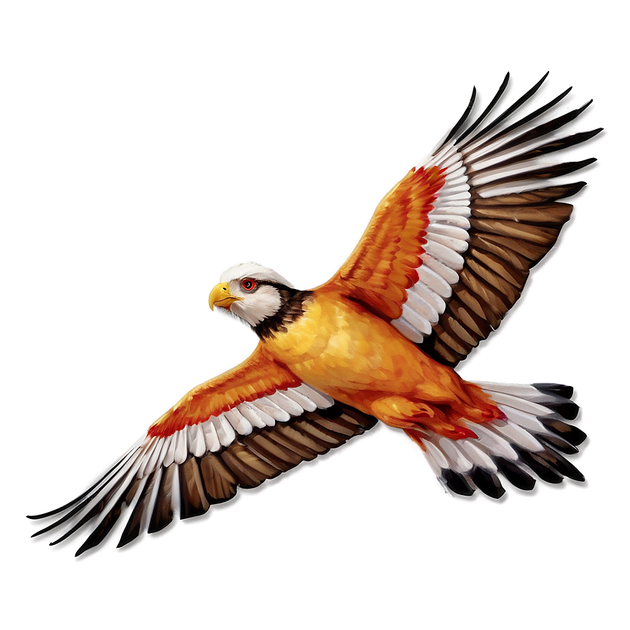 Soaring Bird Flight Png Qwf10 PNG