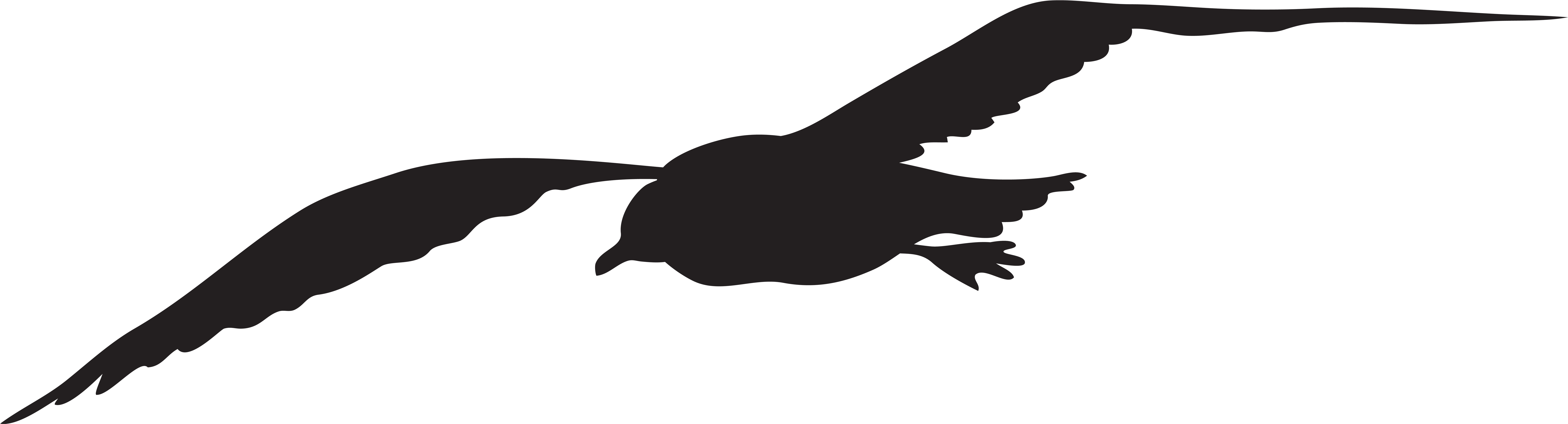 Soaring Bird Silhouette PNG
