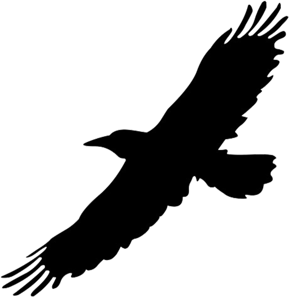 Soaring Bird Silhouette.png PNG