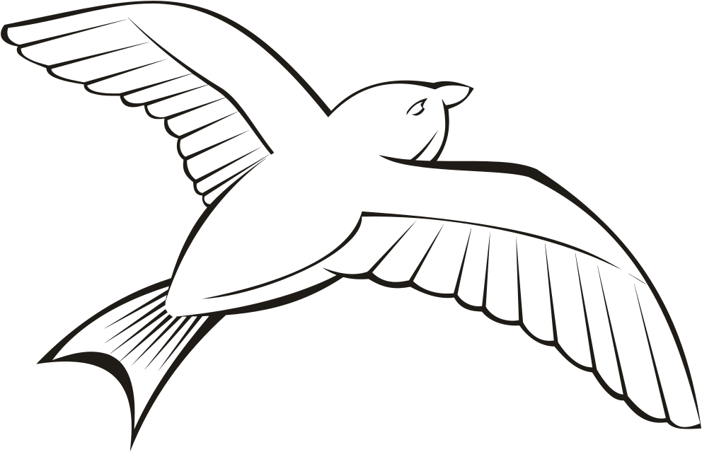 Soaring Bird Silhouette.png PNG
