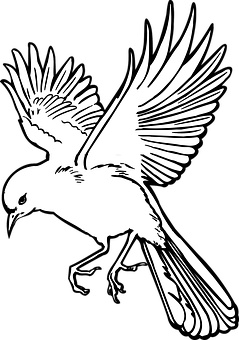 Soaring Bird Silhouette PNG