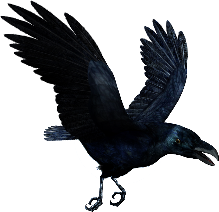 Soaring Black Raven PNG