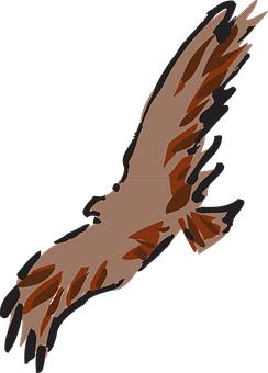 Soaring Brown Eagle Silhouette PNG