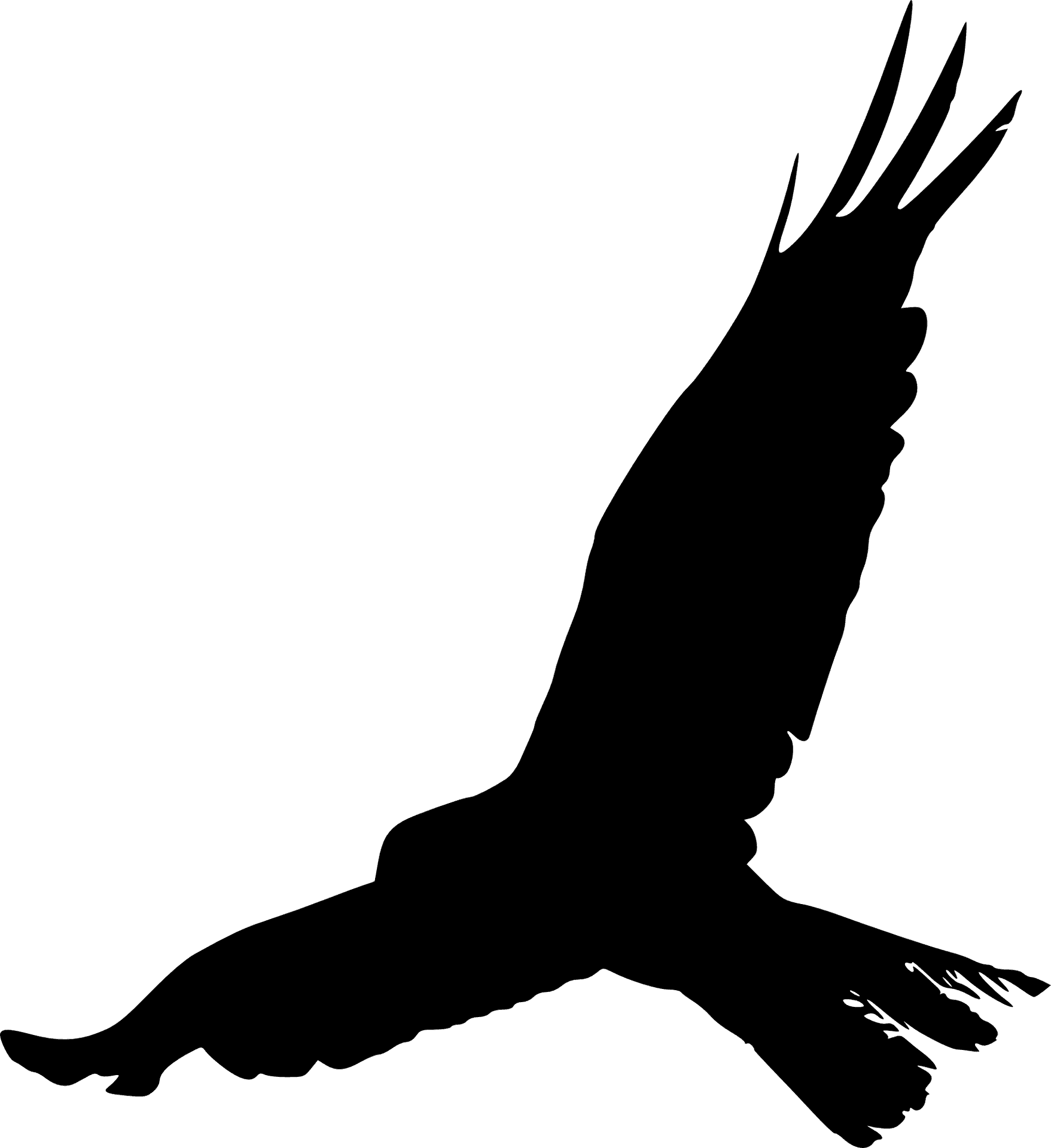 Soaring Eagle Silhouette PNG