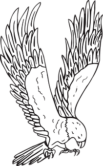 Soaring_ Eagle_ Silhouette_ Vector PNG