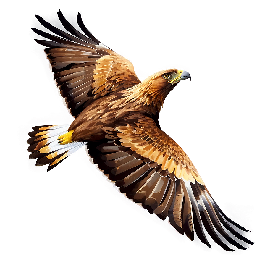 Soaring Golden Eagle Png 06202024 PNG