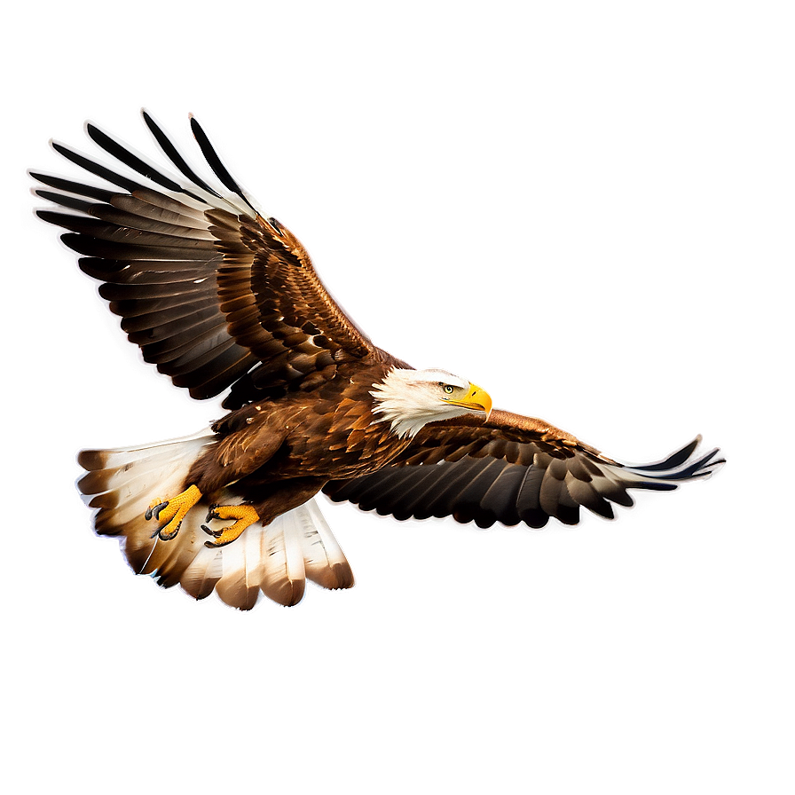 Soaring Golden Eagle Png 06202024 PNG