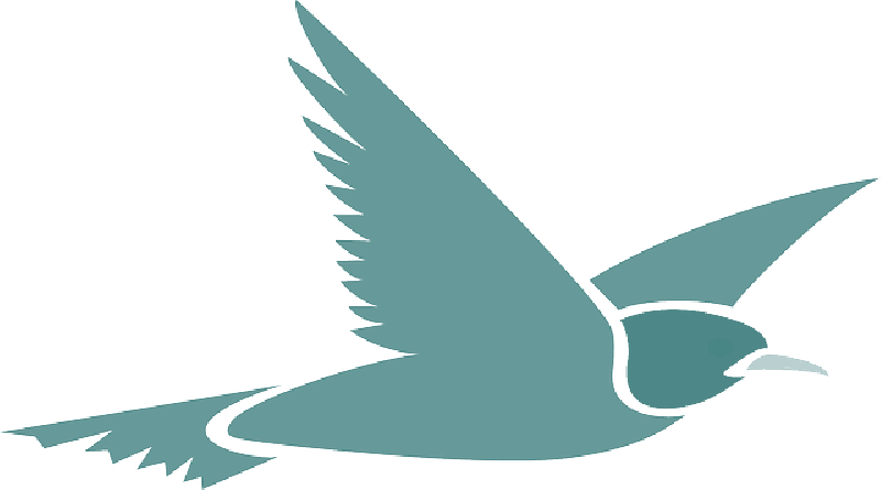 Soaring_ Blue_ Bird_ Vector PNG